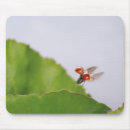 Buscar ladybug alfombrillas de raton Salvaje