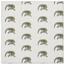 Buscar australia telas Reptil