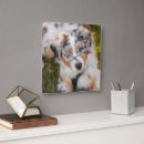 Buscar perro pastor relojes de pared Canino