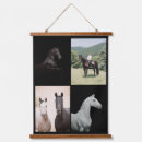Buscar equino para el arte Fotografía equina