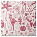 Buscar moluscos azulejos Océano