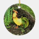 Buscar gallo adornos Verde