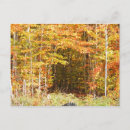 Buscar andina postales Bosque