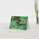 Buscar alces tarjetas Naturaleza