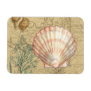 Buscar coral y blanco imanes Conchas