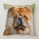 Buscar chow chow cojines Para todos