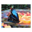 Buscar planta de fresa posters Naturaleza