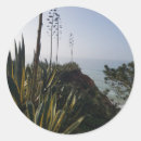 Buscar algarve pegatinas Playa