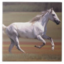 Buscar caballo blanco azulejos Naturaleza