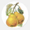 Buscar pasos pegatinas Verde