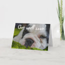 Buscar french bulldog postales Perro