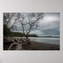 Buscar playa de costa rica posters Viajes