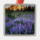 Buscar prado adornos Paisaje