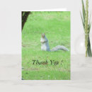 Buscar squirrel tarjetas Naturaleza