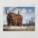Buscar peinado postales Lindo