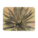 Buscar hoja imanes Tropical