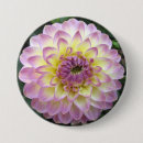 Buscar dali chapas Flor