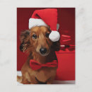 Buscar amante del doxie postales Propietario de dachshund