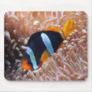 Buscar fish alfombrillas de raton Naturaleza