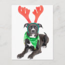 Buscar navidad labrador postales Fotografía