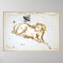 Buscar horóscopo posters Estrella