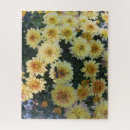 Buscar paisaje del otoño puzzles Exterior