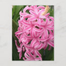Buscar flores bonitas postales General y unisex