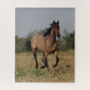 Buscar caballo cuarto puzzles Raza