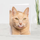 Buscar gato sonriente tarjetas 9 º gata