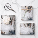 Buscar volcanes papel de regalo Volcán