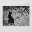 Buscar chat noir postales 7 º charla