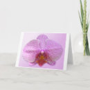 Buscar sensuales tarjetas Fotografía