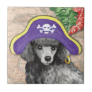 Buscar pirata azulejos Cachorro