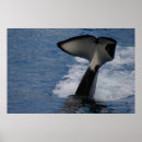Buscar chapoteo posters Azul