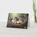 Buscar gato tarjetas de pascua Conejito