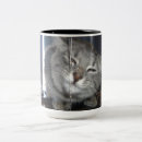 Buscar gato sonriente tazas Gatito