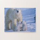 Buscar oso polar puzzles Naturaleza