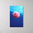 Buscar jellyfish arte Animal