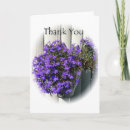 Buscar verbena tarjetas Jardín