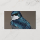 Buscar golondrinas tarjetas de visita Tragar