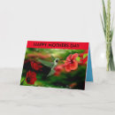 Buscar colibríes tarjetas Madre