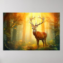 Buscar realista posters Colorido