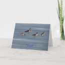 Buscar carril tarjetas Naturaleza