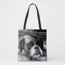 Buscar compras de la ventana fotografía Perro