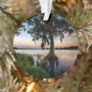 Buscar ciprés adornos Lago