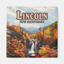 Buscar lincoln imanes Lincolina