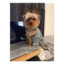 Buscar yorkshire terrier arte Divertido