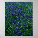 Buscar marco completo posters Azul