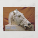 Buscar cabeza de caballo postales Carruaje