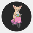 Buscar chihuahua pegatinas Perro lindo